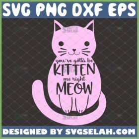 youve gotta be kitten me right meow svg cat lover cricut gifts