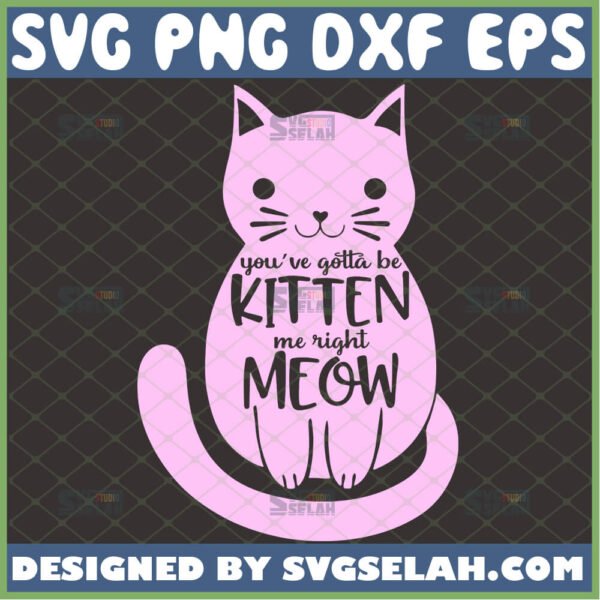 youve gotta be kitten me right meow svg cat lover cricut gifts