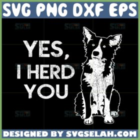 border collie svg yes i herd you svg