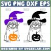 pug halloween svg pug witch svg